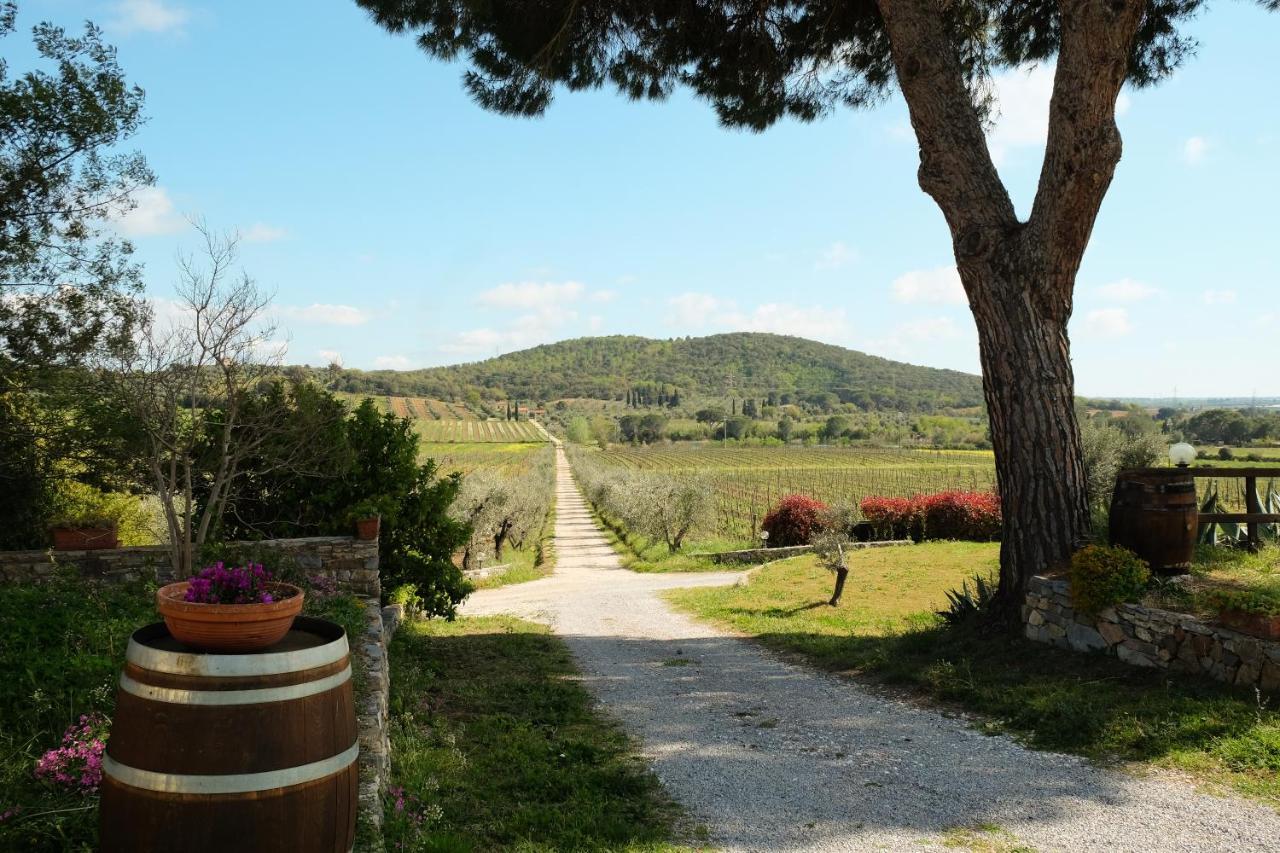Agriturismo Biologico Bulichella Suvereto Dış mekan fotoğraf
