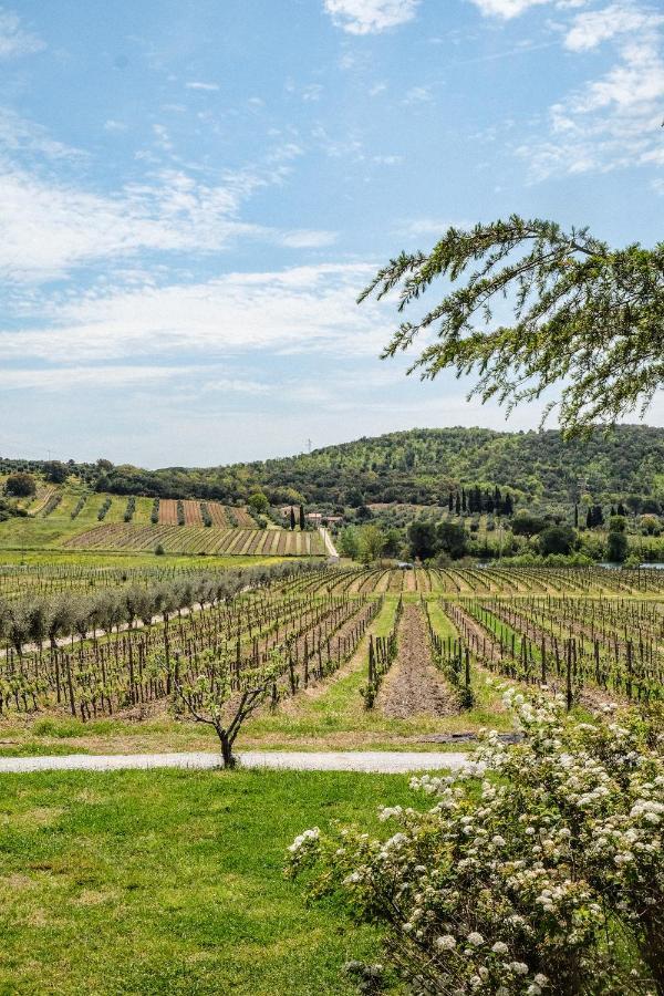 Agriturismo Biologico Bulichella Suvereto Dış mekan fotoğraf