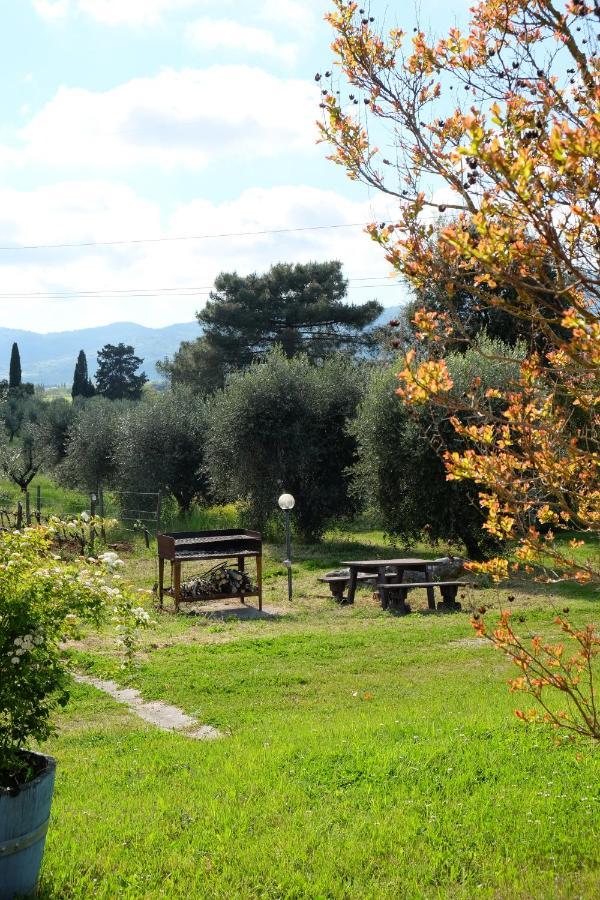 Agriturismo Biologico Bulichella Suvereto Dış mekan fotoğraf