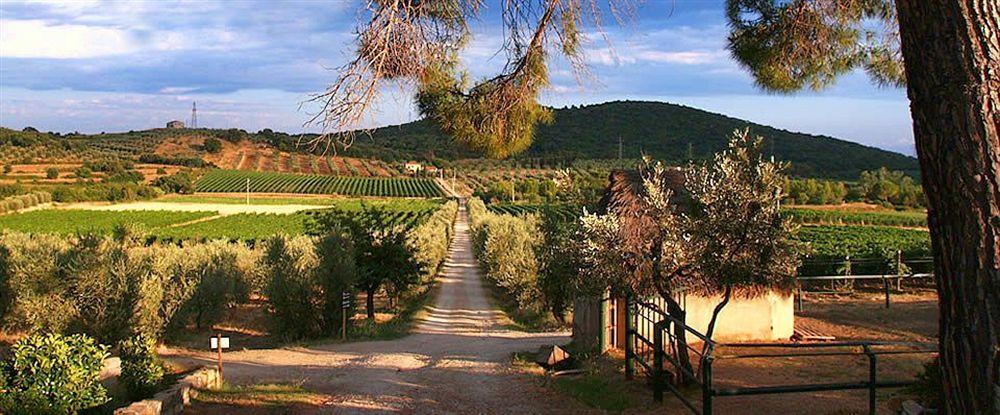 Agriturismo Biologico Bulichella Suvereto Dış mekan fotoğraf